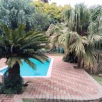 WhatsApp Image 2025-06-11 at 14.17.04