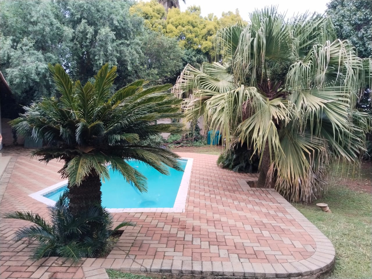 WhatsApp Image 2025-06-11 at 14.17.04