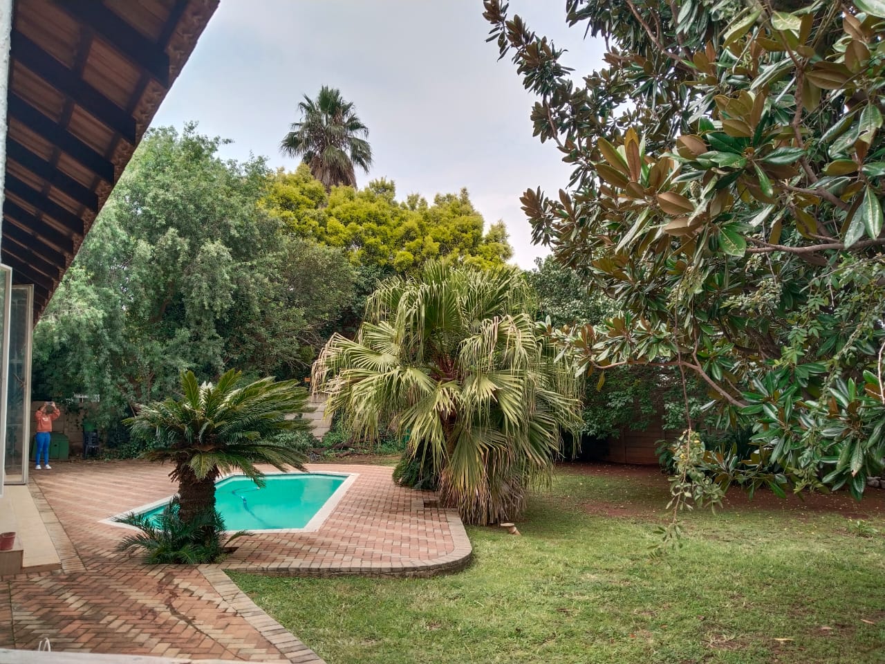 WhatsApp Image 2025-06-11 at 14.17.05